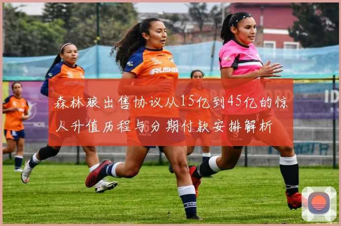 森林狼出售协议从15亿到45亿的惊人升值历程与分期付款安排解析